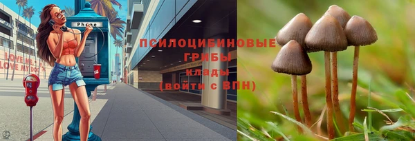 дмт Магас