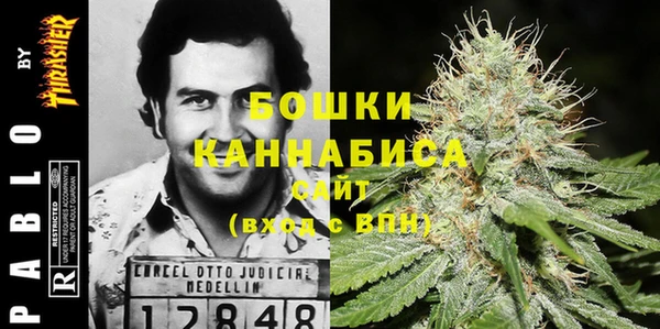 ГАЛЛЮЦИНОГЕННЫЕ ГРИБЫ Магадан