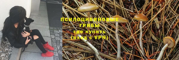 бутират Долгопрудный