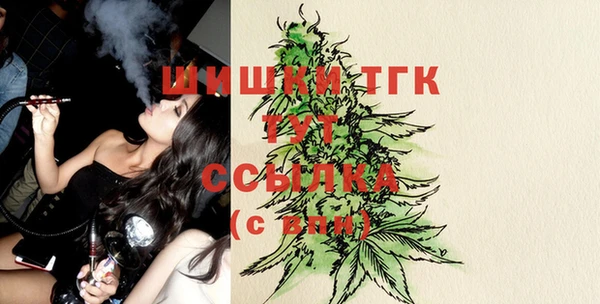 дмт Магас
