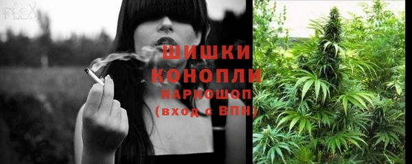 дмт Магас