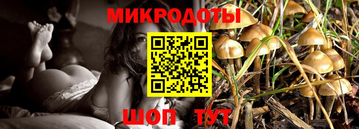 Псилоцибиновые грибы Cubensis Смоленск