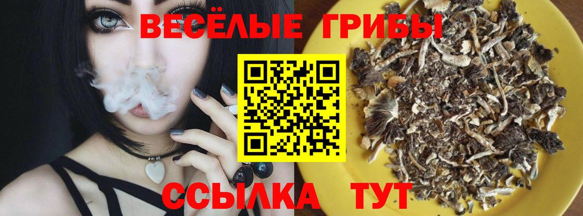Галлюциногенные грибы Psilocybine cubensis  Вход с VPN  Смоленск  Псилоцибиновые грибы MAGIC MUSHROOMS 